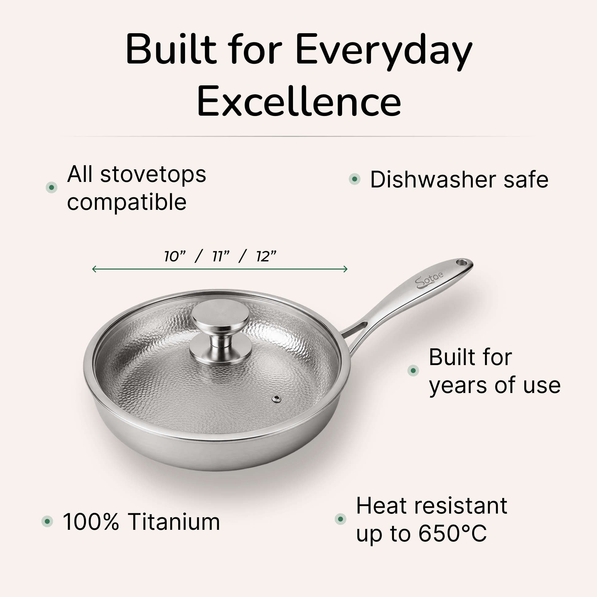 Titanium Hammered Cooking Pan